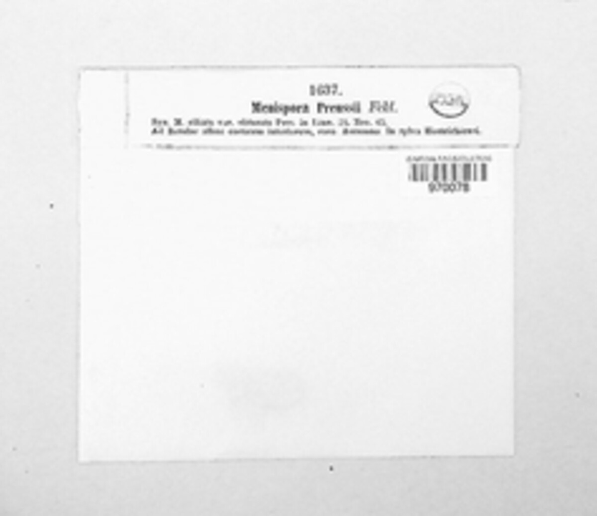 Menispora image
